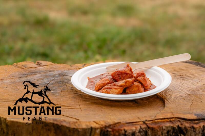 BBQ vištiena | MustangFeast.com